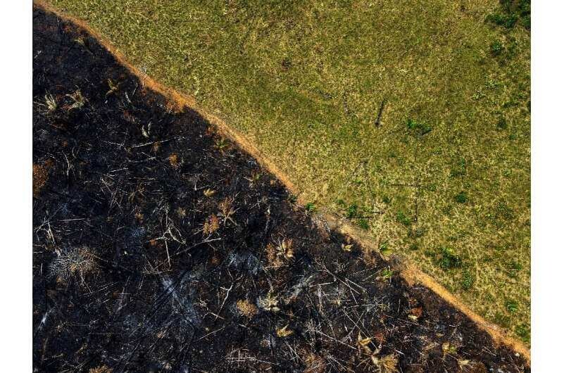    Фото: AFP
