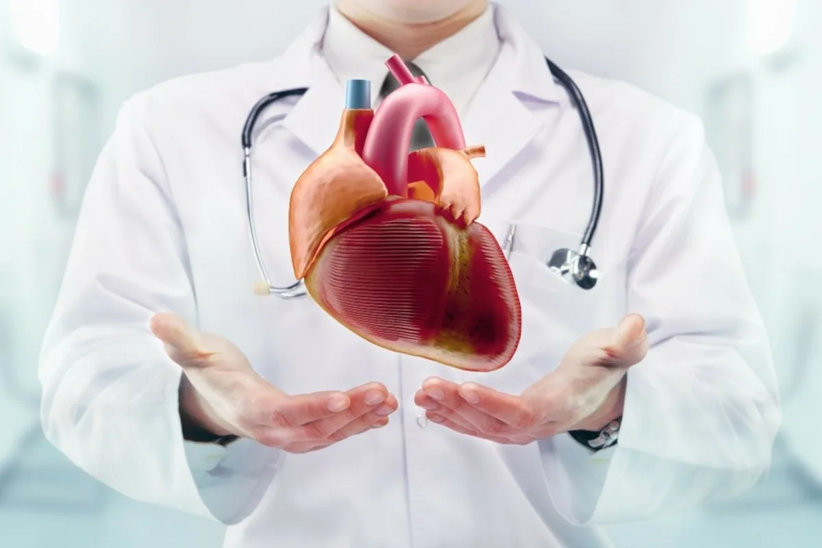 Health diseases. Сердечно-сосудистые заболевания. Сердце медицина. Здоровое сердце. Сердце кардиология.