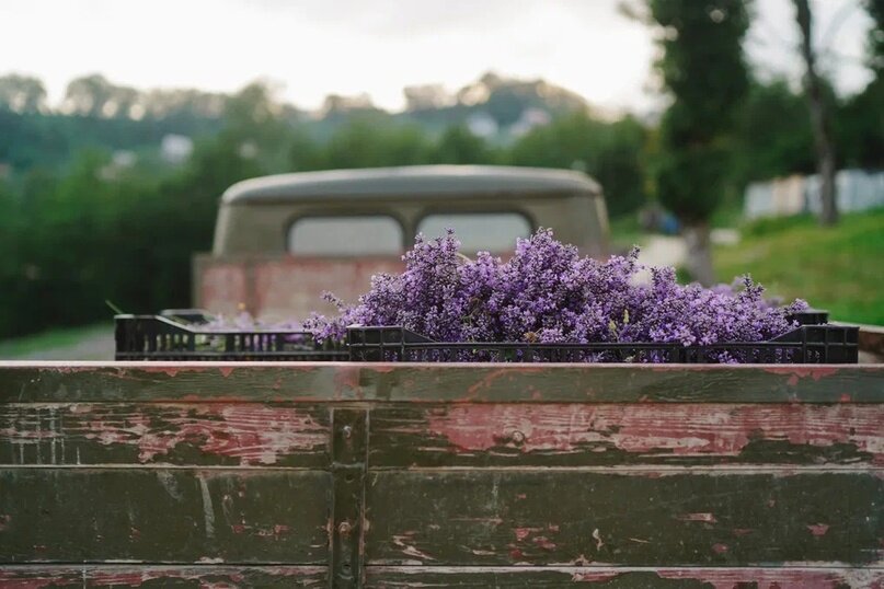 Все средства бренда «Краснополянская косметика» сочетают в себе пользу природных ингредиентов, заботливо выращенных на экоферме в горах Красной Поляны