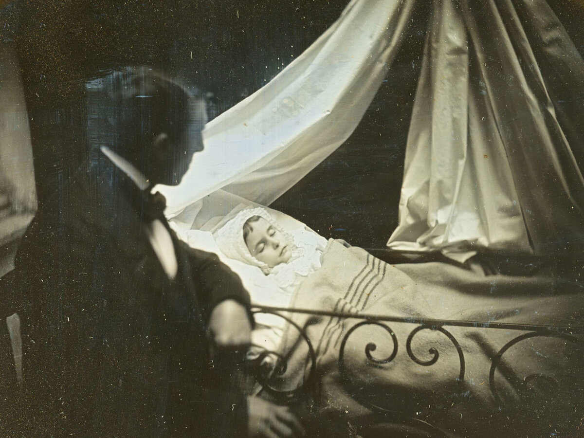 Изображение взято из открытых источников интернета. 