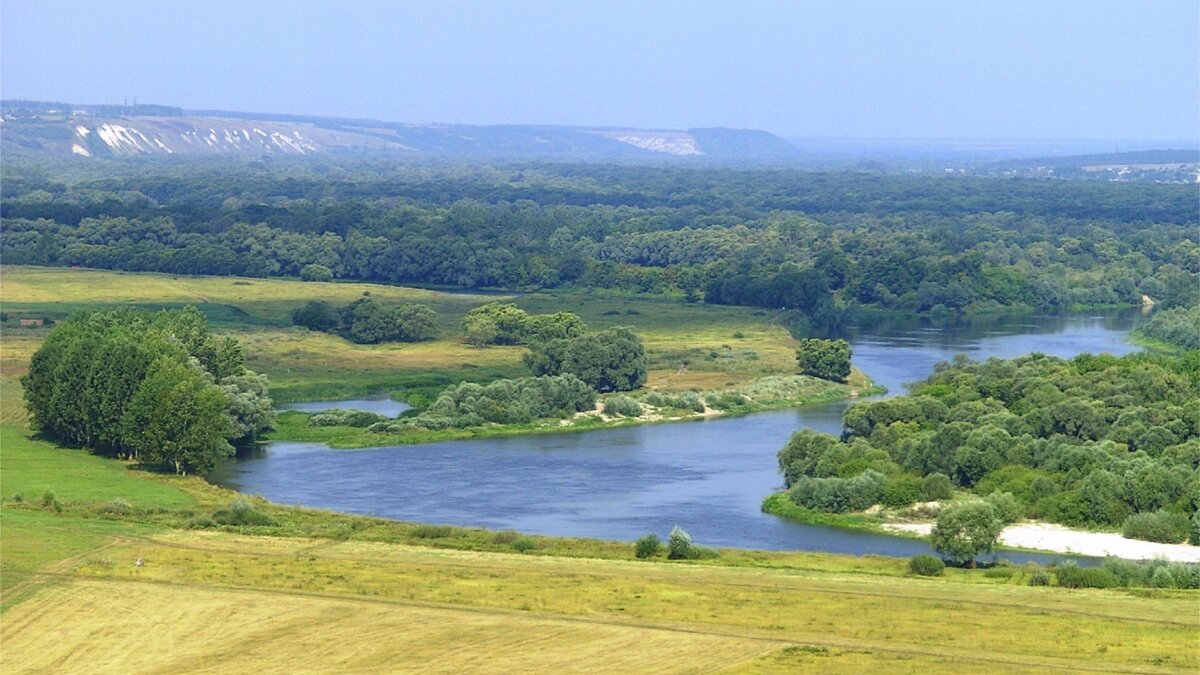 Дома на реке дон