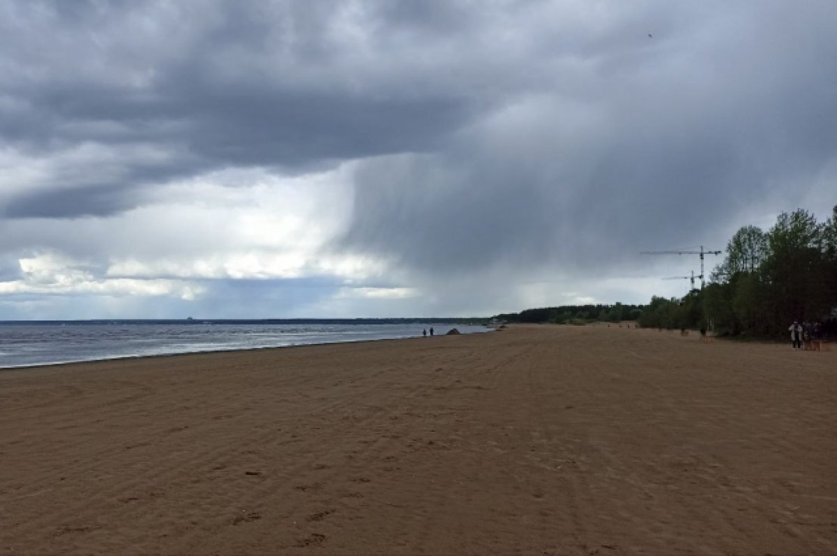    В Ростове в День России похолодает и будут лить дожди