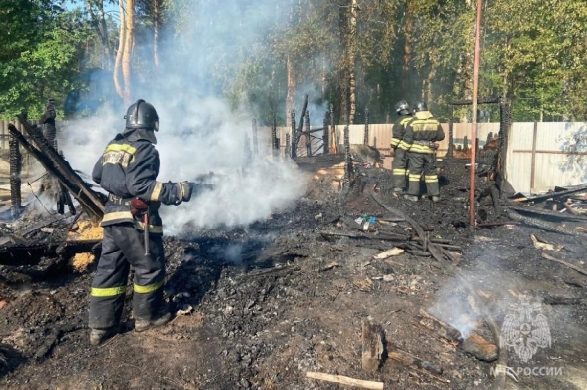    В Новосибирске 11-летний мальчик погиб в пожаре