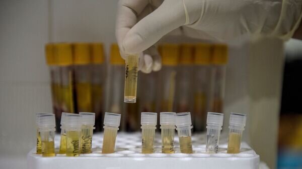    © AFP 2023 / NOEL CELIS