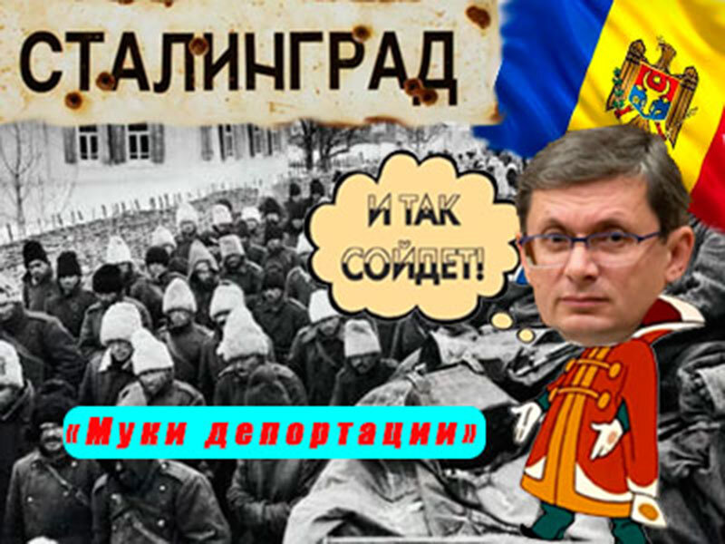 Подписывайтесь на наш канал "Нарполит" и не упустите свежие политические тренды!