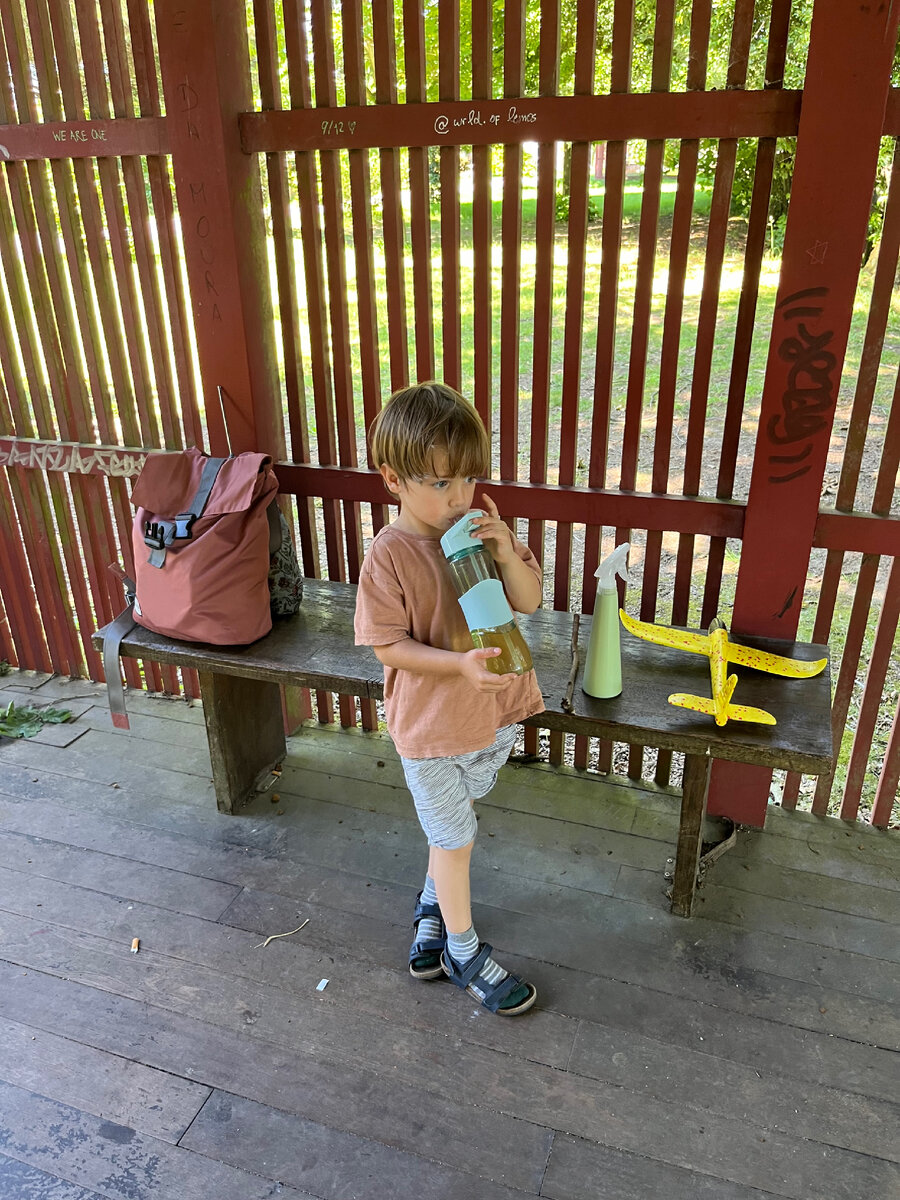 Короткий перекус в беседке)) 