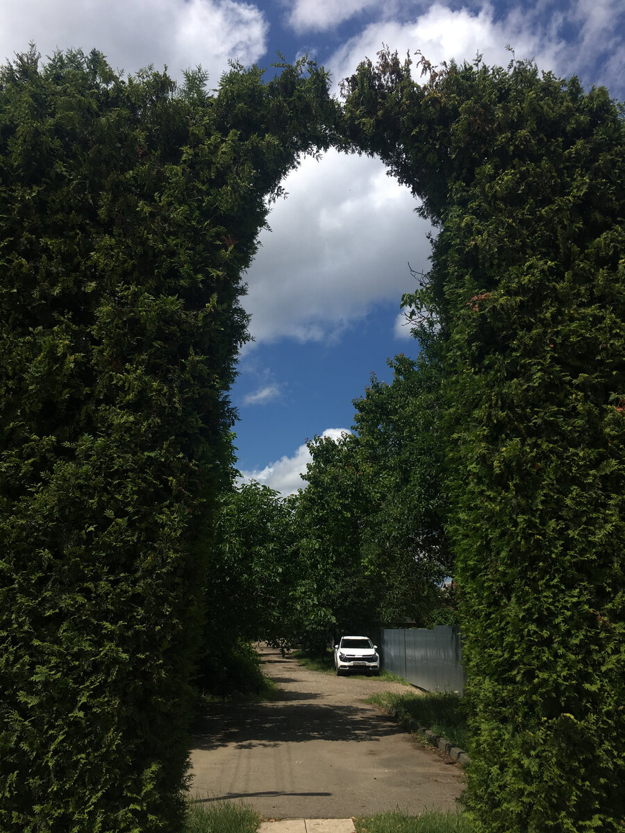 Просто красивая арка из деревьев, там частные дома