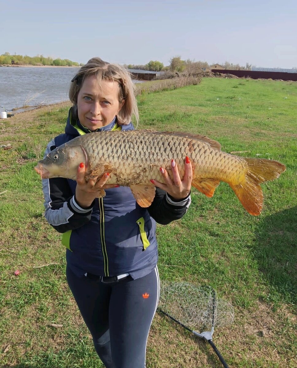 Какая рыба здесь водится? | Рыбалка•Охота•База отдыха FISH-CLUB Астрахань |  Дзен