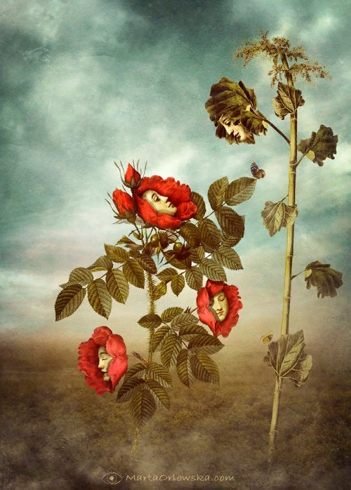 �������� - ������ ��������