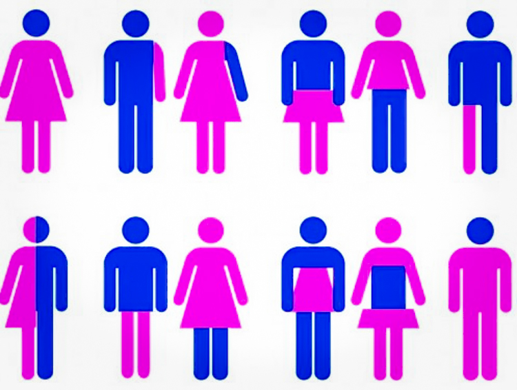 Пансексуалы: кто они такие и чем отличаются от бисексуалов?