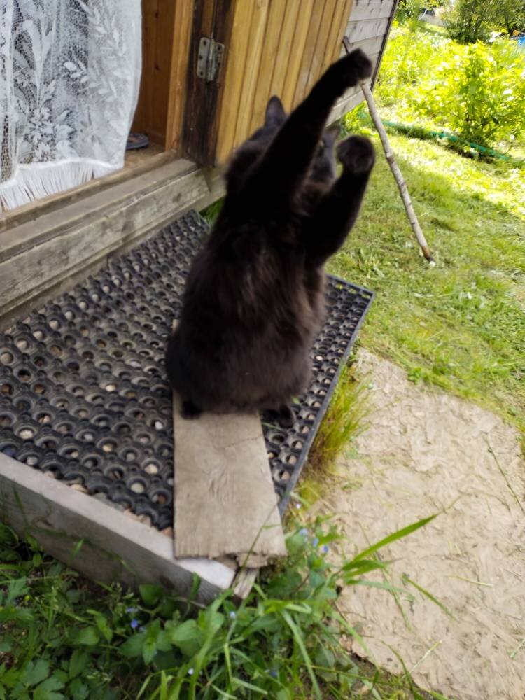 Я мудраяяяяяя!