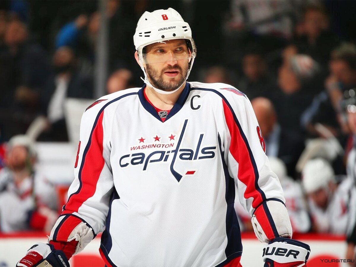 Овечкин. Фото из открытых источников сети Интернет