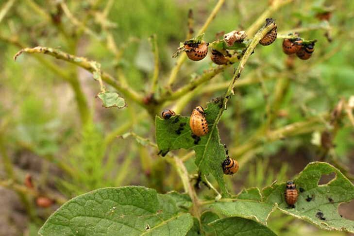    Фото из архива VN.ru