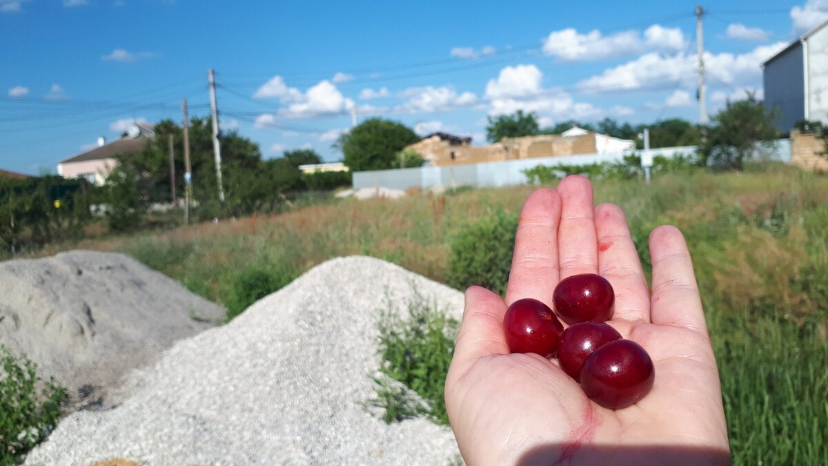 Еще один плюс жизни на юге.