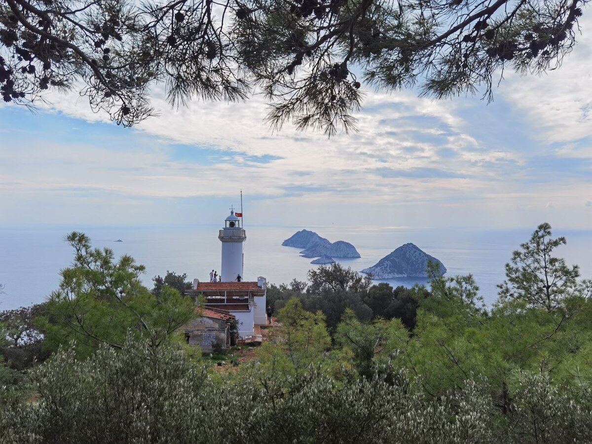 Еще одна общая черта Якутии и Турции - много хвойных деревьев. Фото автора