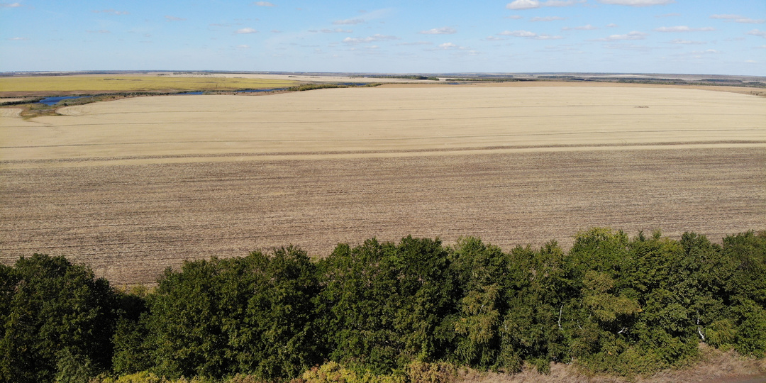 Аренда. Стороны и участники договора.