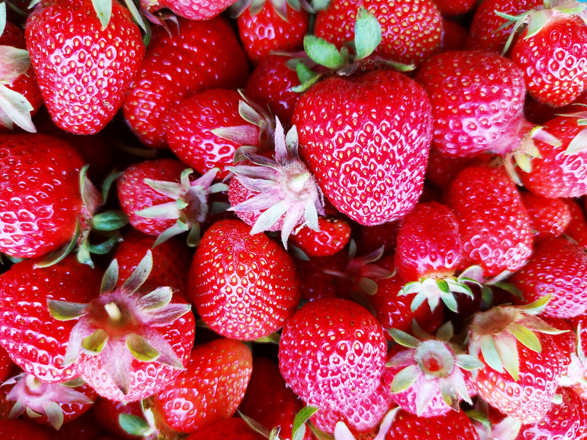 Тут для фото мы подобрали лучшую клубнику, в реальности на тарт пошла средненькая)))