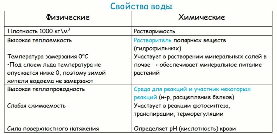 Педразвитие | 