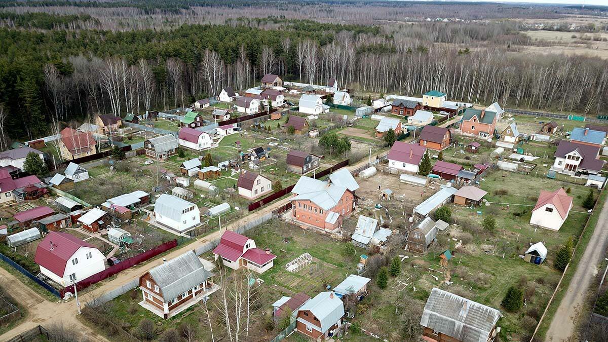 Знакомый хотел купить соседний участок, но соседи назвали цену в два раза  выше реальной стоимости. Способ приобрести участок не переплатив | Блог  самостройщика | Дзен