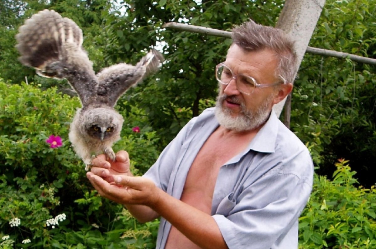    Осторожно: заяц.