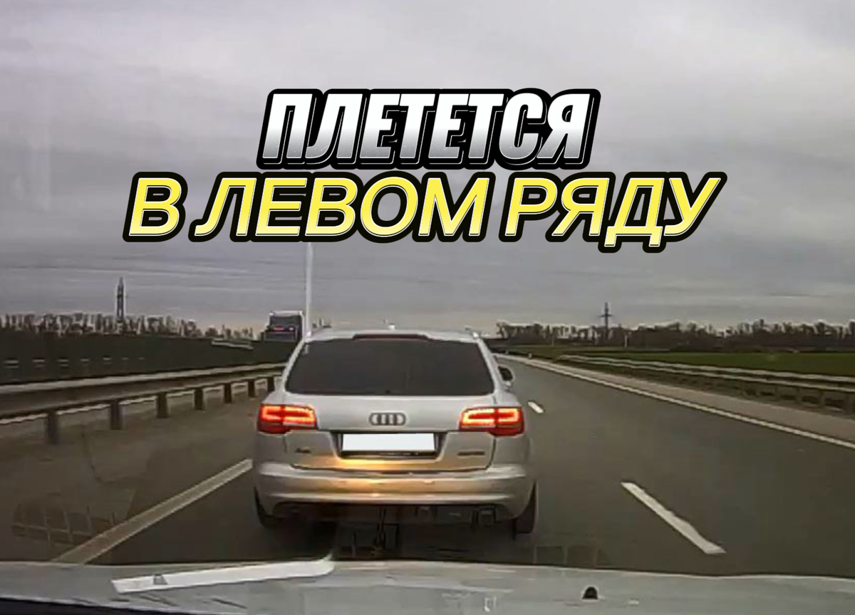 Тихоход в левом ряду