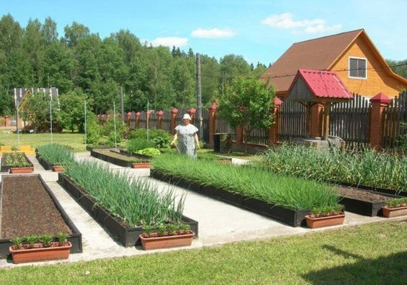 Красивые приусадебные участки и огороды