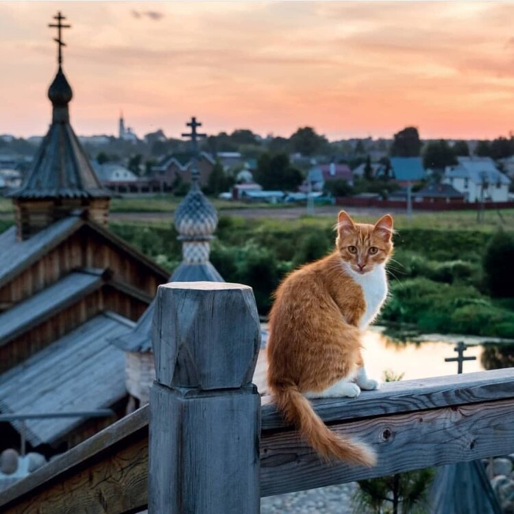 �������� ����: gamerwall.pro