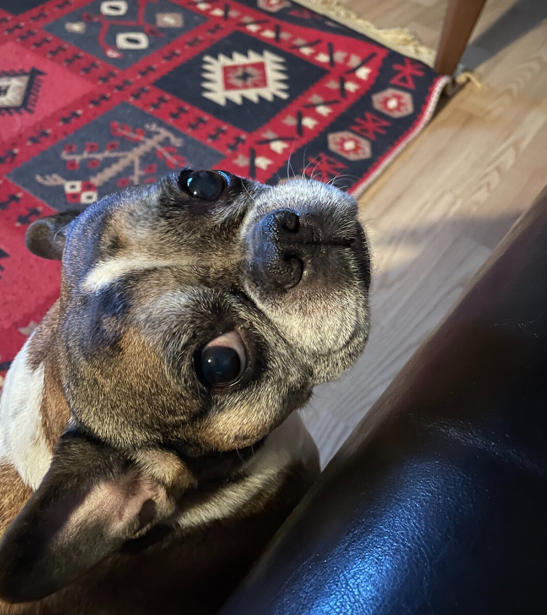 ПрЫнцесса сейчас