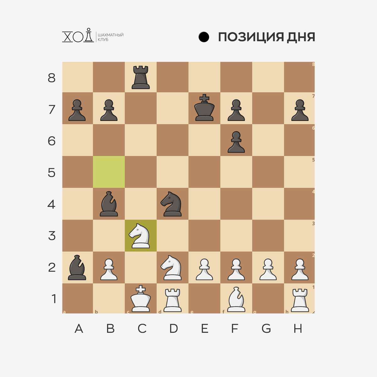 Шахматы в Пятигорске