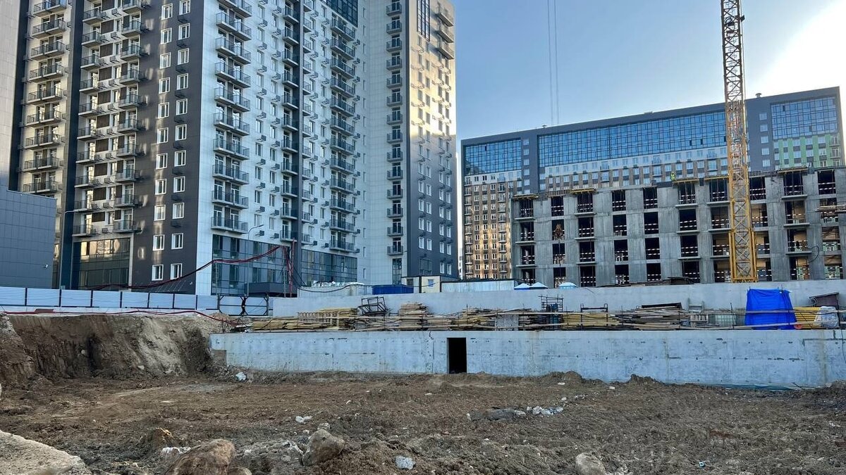     Массовая драка произошла из-за того, что одни рабочие хотели стелить газон, а другие — высаживать деревья. Один человек серьезно пострадал.