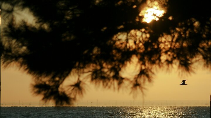 ФОТО: © ROMAN DENISOV, РОМАН ДЕНИСОВ/GLOBALLOOKPRESS