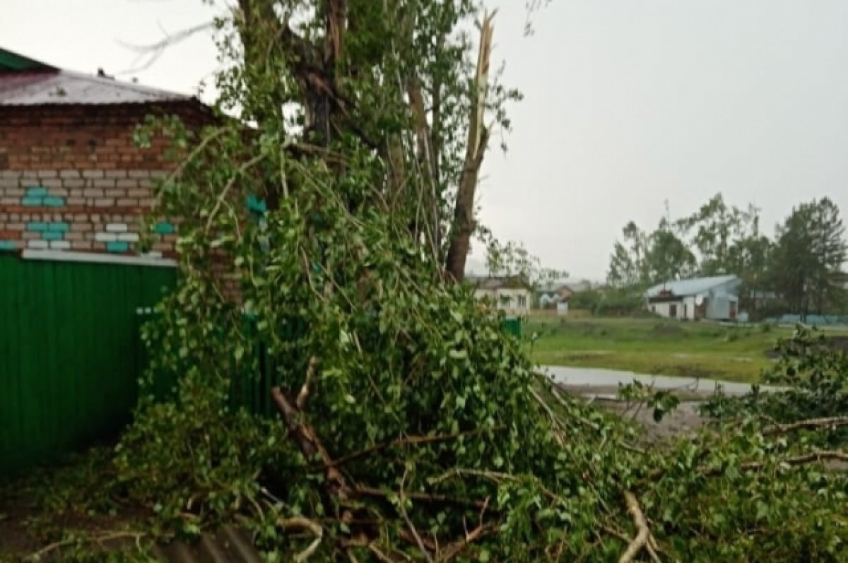    Ураган оставил без света село в Забайкалье