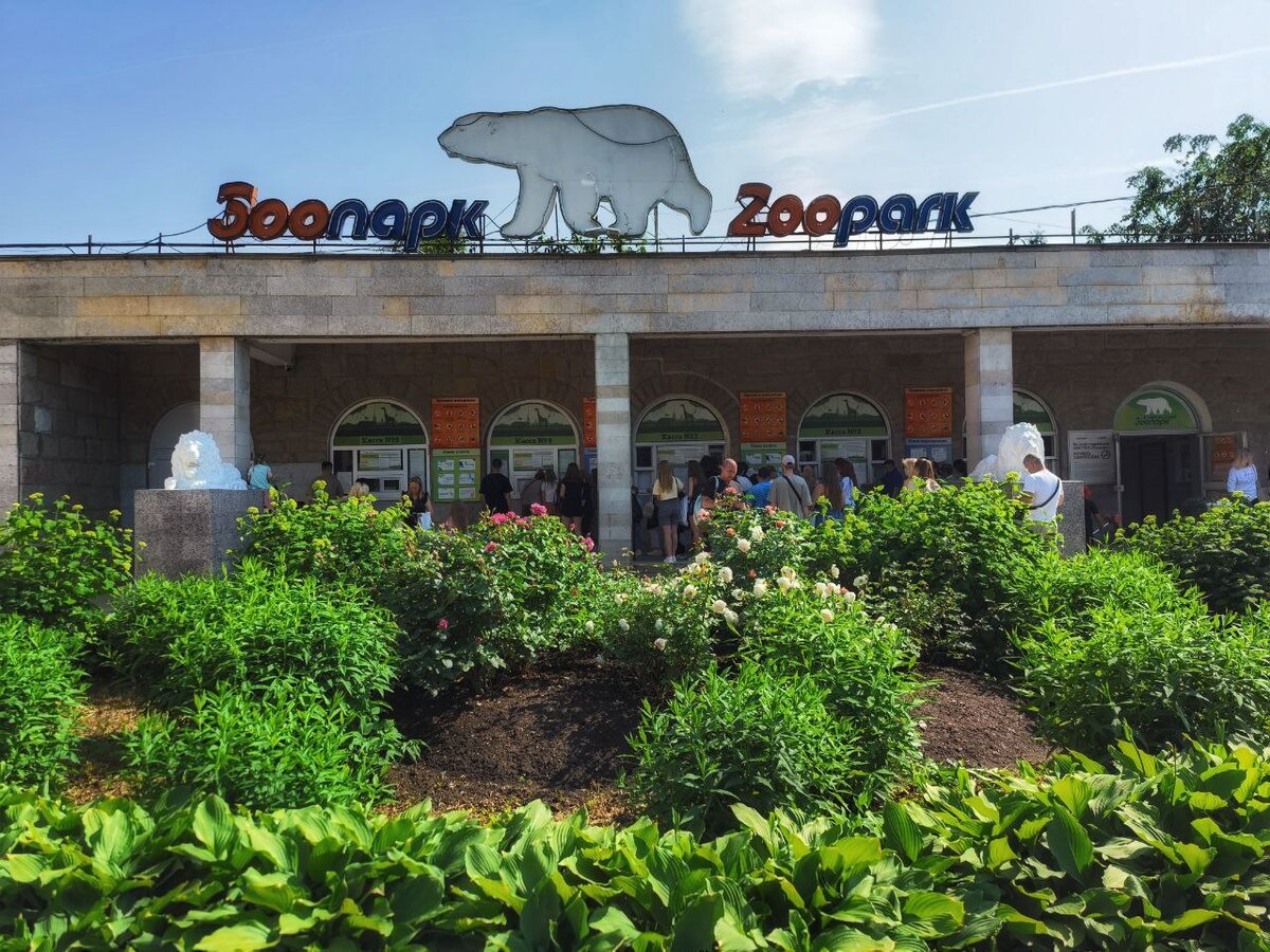 Чем раньше придёте, тем меньше очередь))