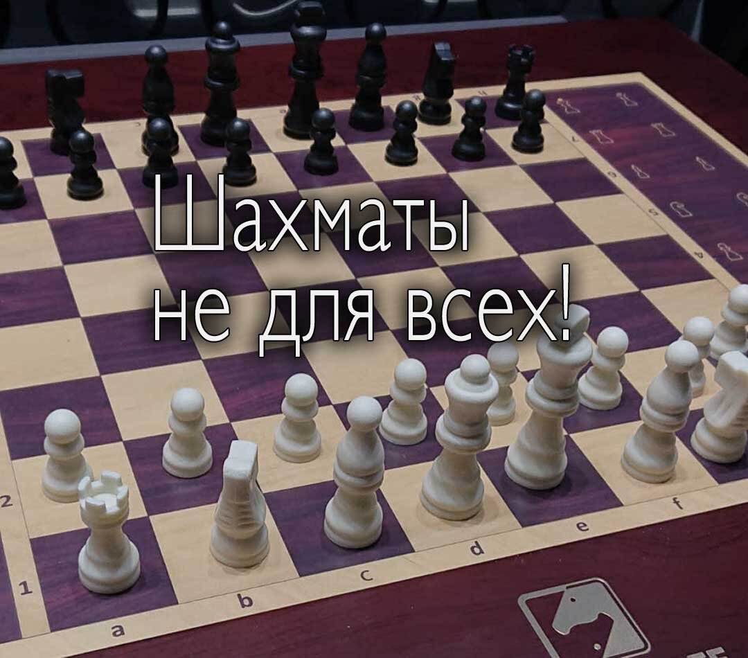 Показать все виды шахмат. Логика слов шахматы. Шахматы 2 ходовка вид.