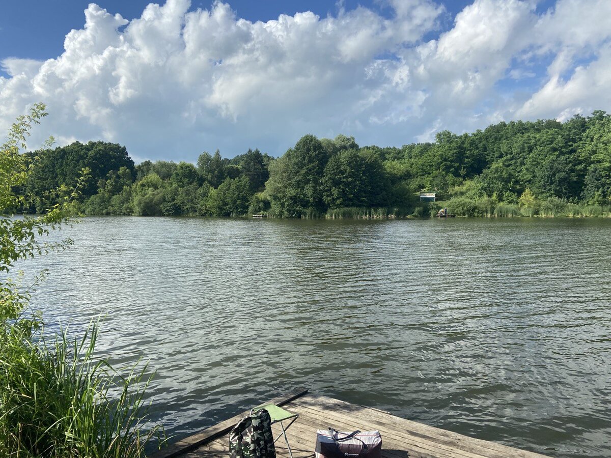 Вид с места