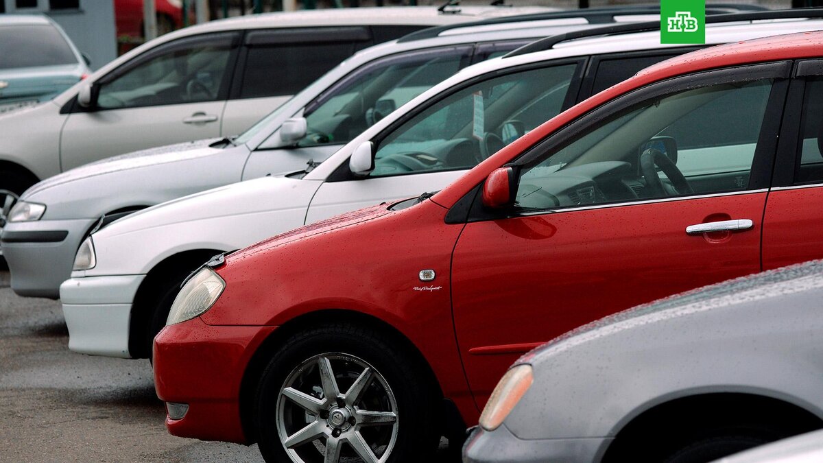    Фото: РИА Новости © 2023, Илья Наймушин