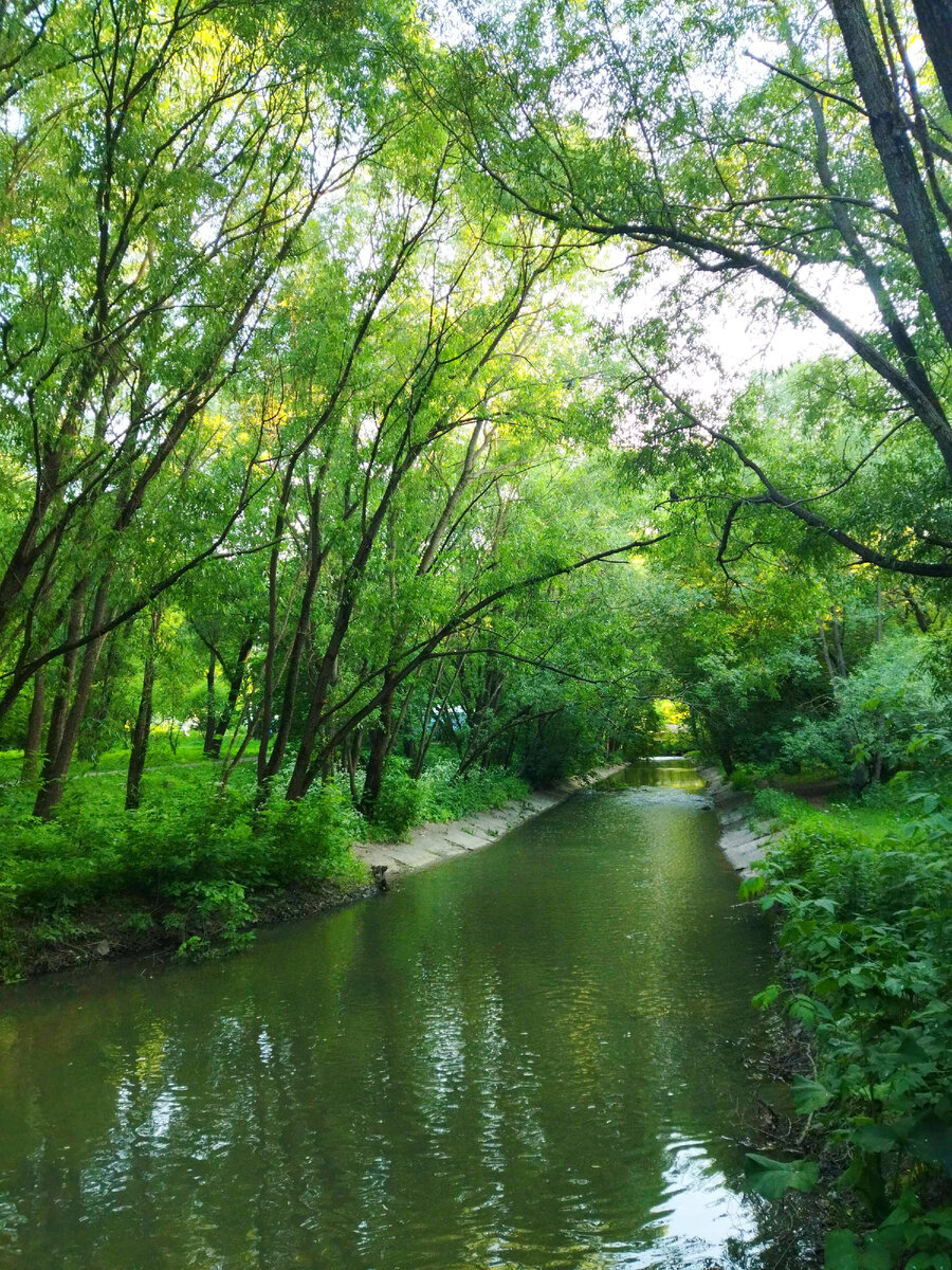 Кусочек маршрута. Сюда банду купаться не пустили.