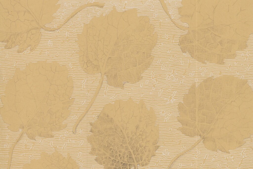 Иллюстрация Петра Перевезенцева