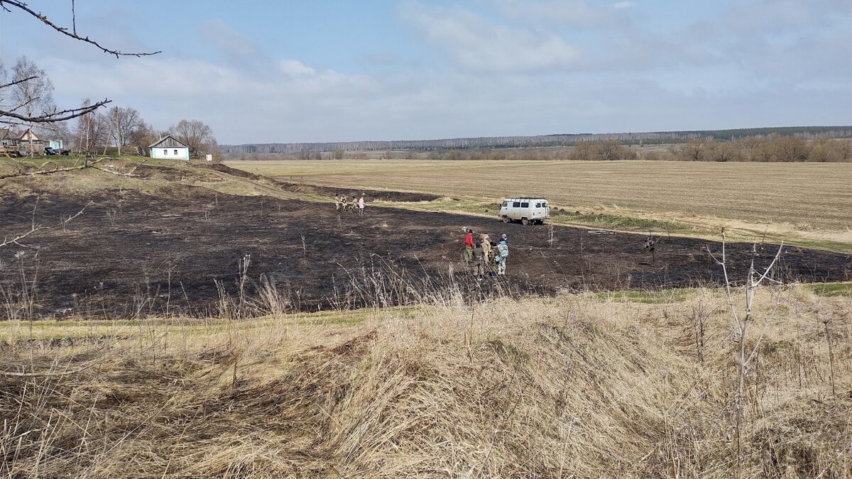 Поисковые работы у деревни