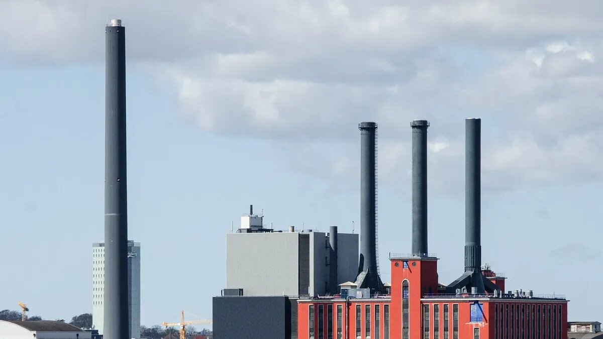 Фото: Pixabay/Stan Petersen