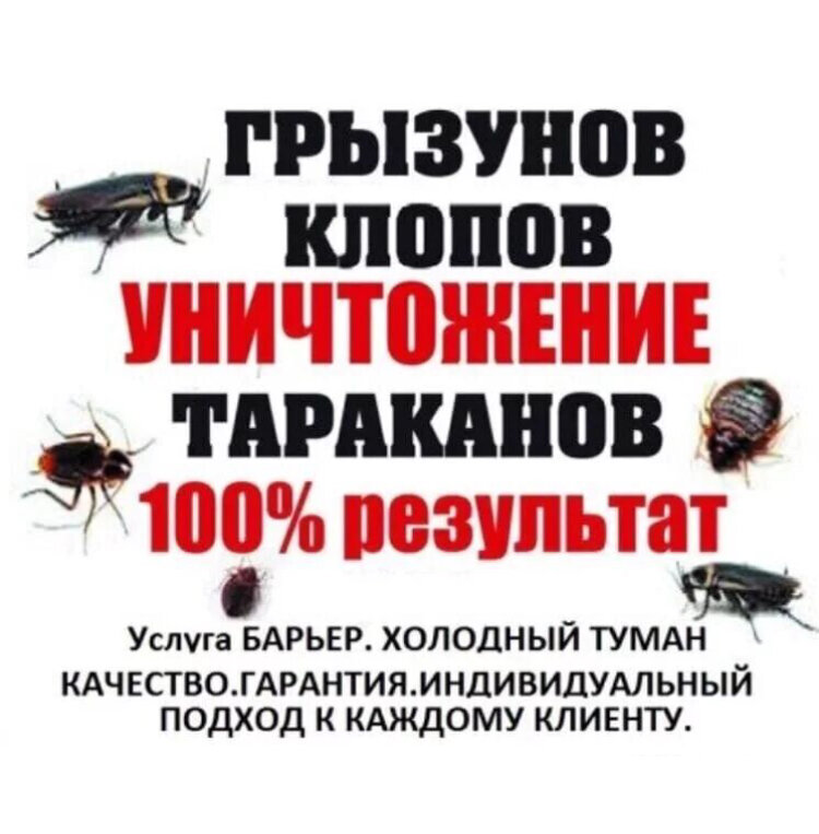 Примерно такие обещания пишут в своих объявлениях дезинсекторы.