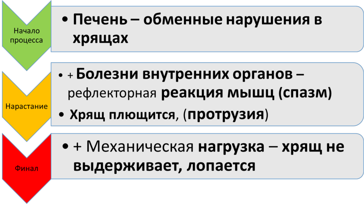 Этапы формирования межпозвонковых грыж
