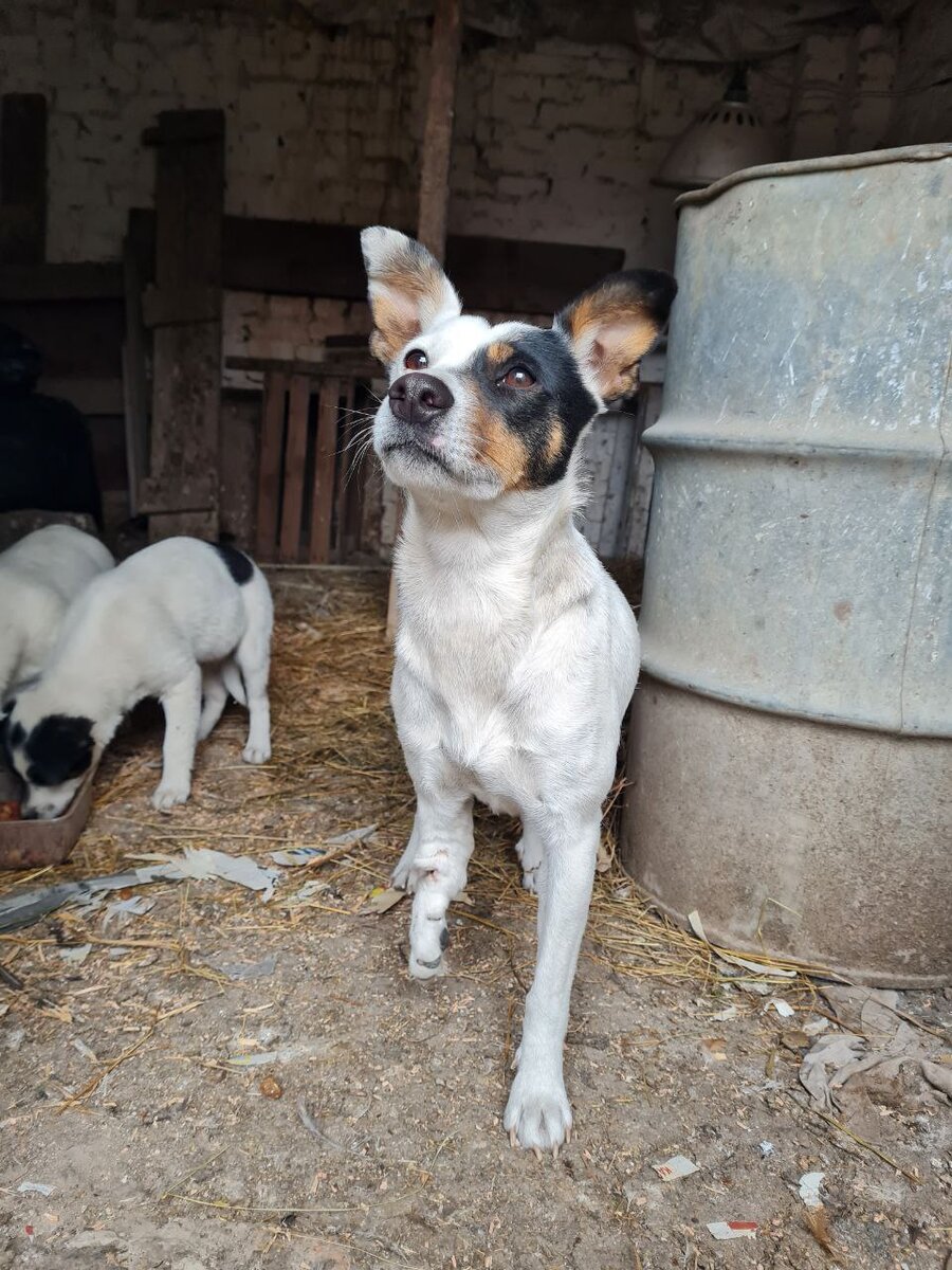 Семья в безопасности