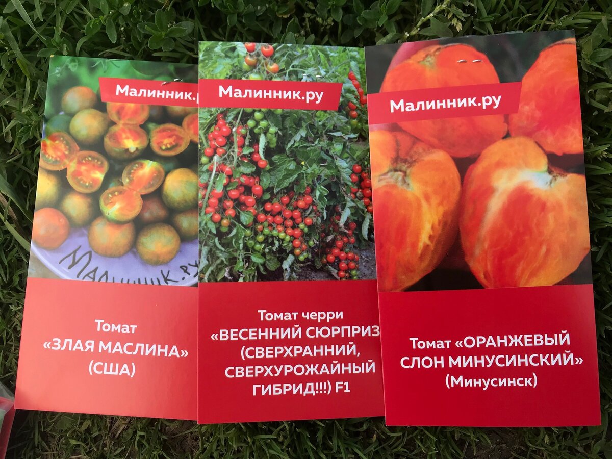 Листайте фото - там еще подборки сортов, которые я заказала