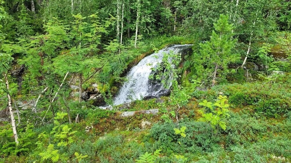 Вишерский заповедник маршруты