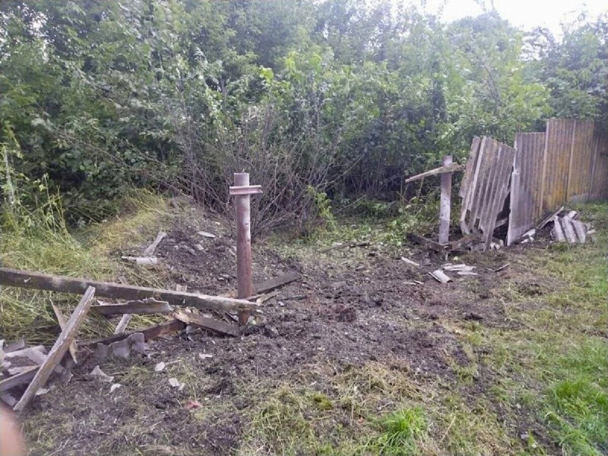 Фото: Настоящий Гладков / Telegram