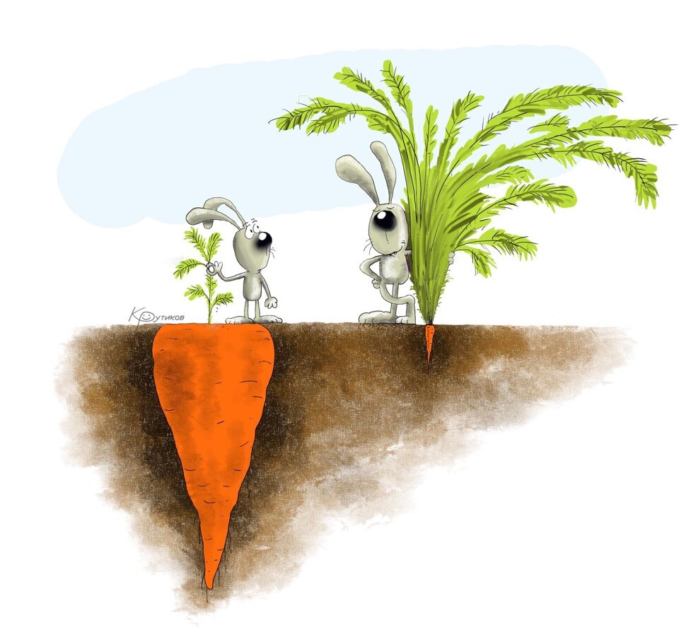 Рисунки со смыслом. Понты не отображают реального положения. Большая и маленькая морковка. Заяц с большой и маленькой морковкой. Без чего ничего никогда не бывает