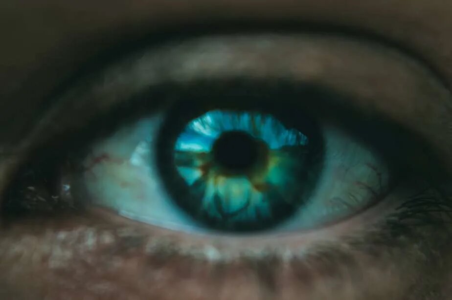 Чудеса макросъемки: фото, доказывающие, что глаза — зеркало души | WDAY
