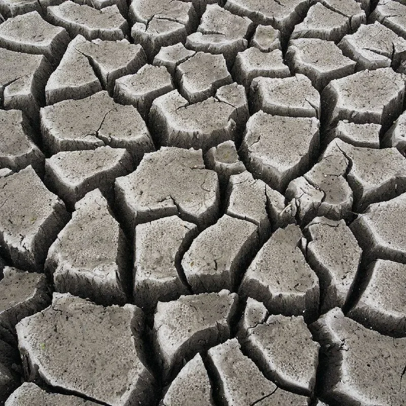 Обмелевшее дно 