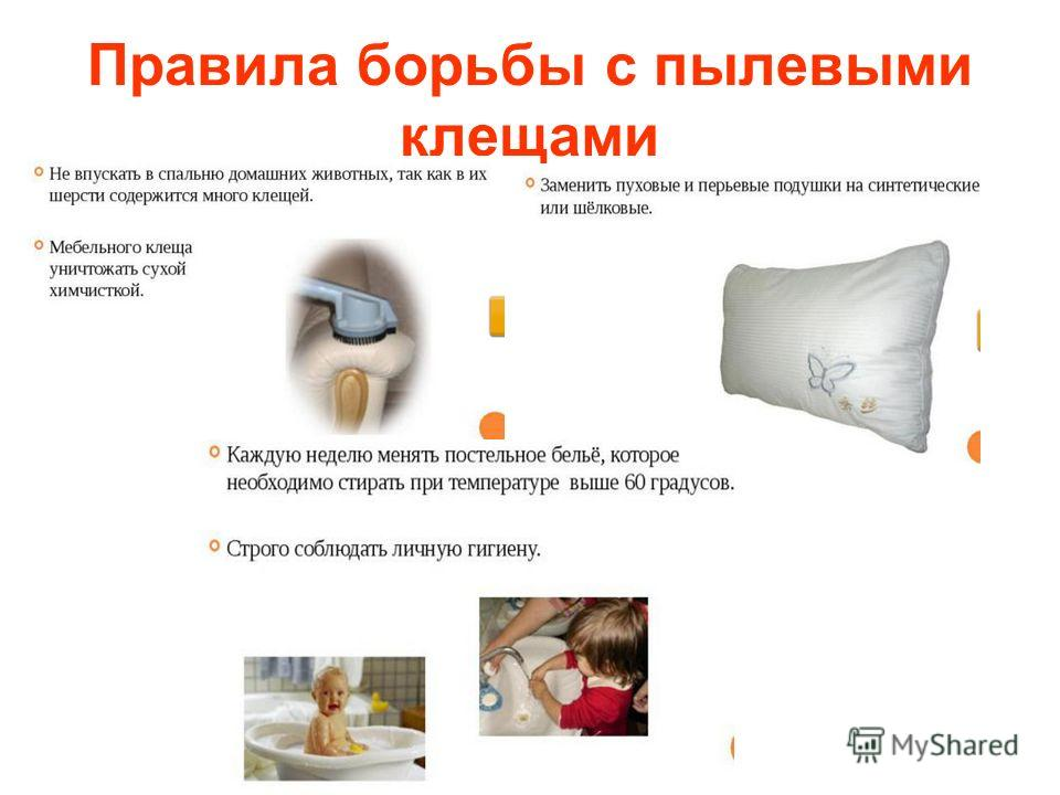 Пыль аллерген